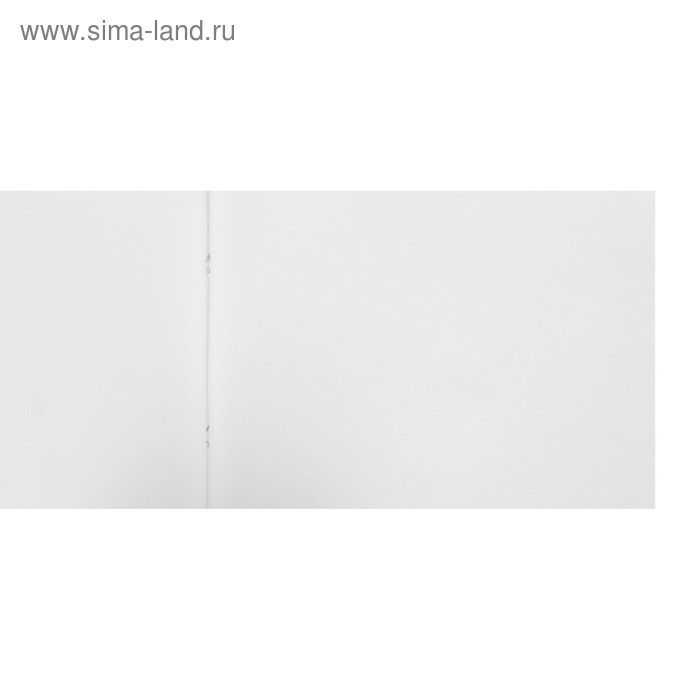 Альбом для рисования А4, 48 листов, на скрепке, "Ассорти", обложка мелованный картон, блок 100 г/м&sup2;, МИКС