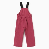 Полукомбинезон утеплённый для девочек, цвет фуксия, рост 98 см