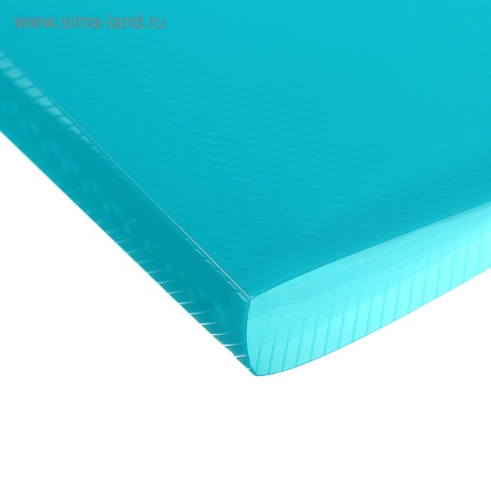 Папка с 20 вкладышами А4, 500 мкм, ErichKrause Diagonal Vivid, термосварка, микс