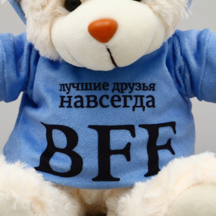 Мягкая игрушка Мишка &laquo;BFF&raquo;, в кофте, 13 см