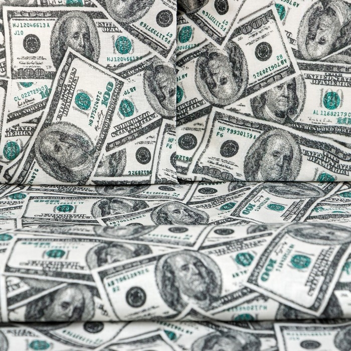 Постельное бельё &laquo;Этель&raquo; 2 сп. Cash 175х215 см, 200х220 см, 70х70 см -2 шт, бязь 125 г/м2