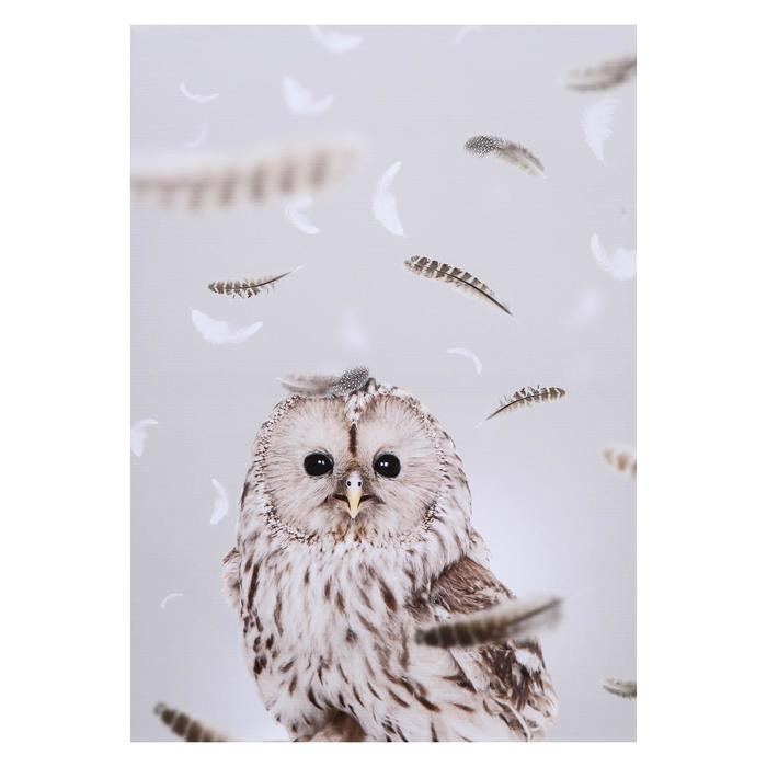 Картина на холсте "Совушка" 50х70 см