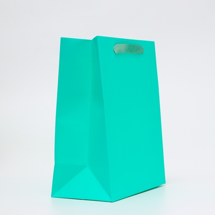 Пакет ламинированный «Тиффани», ML 23 × 27 × 11.5 см Пакет ламинированный «Тиффани», ML 23 × 27 × 11.5 см