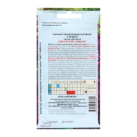 Семена Цветов Сальвия "Сандра", 10 шт Семена Цветов Сальвия "Сандра", 10 шт