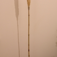 Сухоцвет "Пати" 180 см натуральный