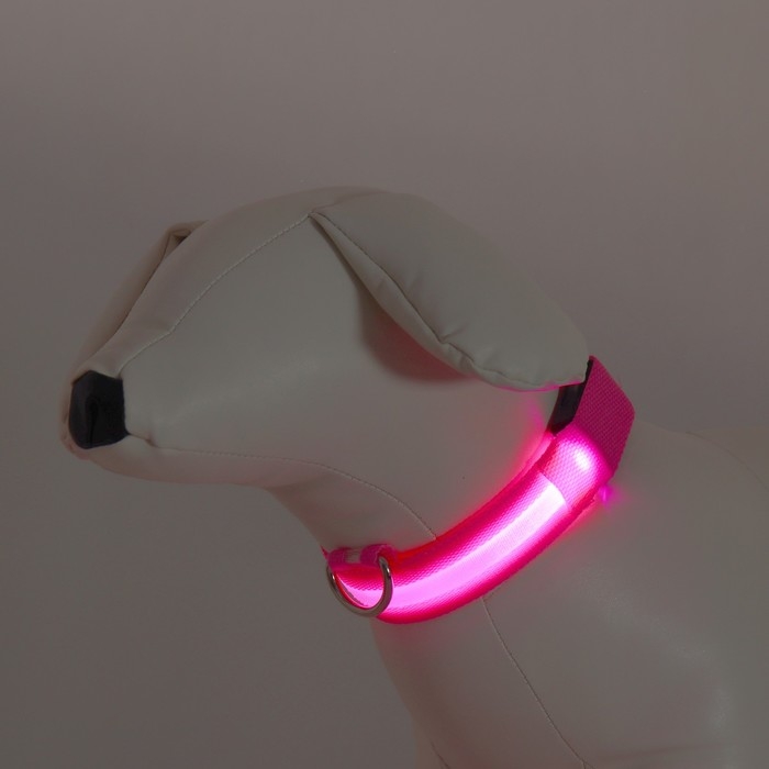 Ошейник с подсветкой размер S, ОШ 35-43 х 2,5 см, 3 режима свечения розовый