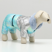 Комбинезон "Астронавт", размер 10 (ДС 25 см, ОГ 34 см, ОШ 24 см), голубой Комбинезон "Астронавт", размер 10 (ДС 25 см, ОГ 34 см, ОШ 24 см), голубой