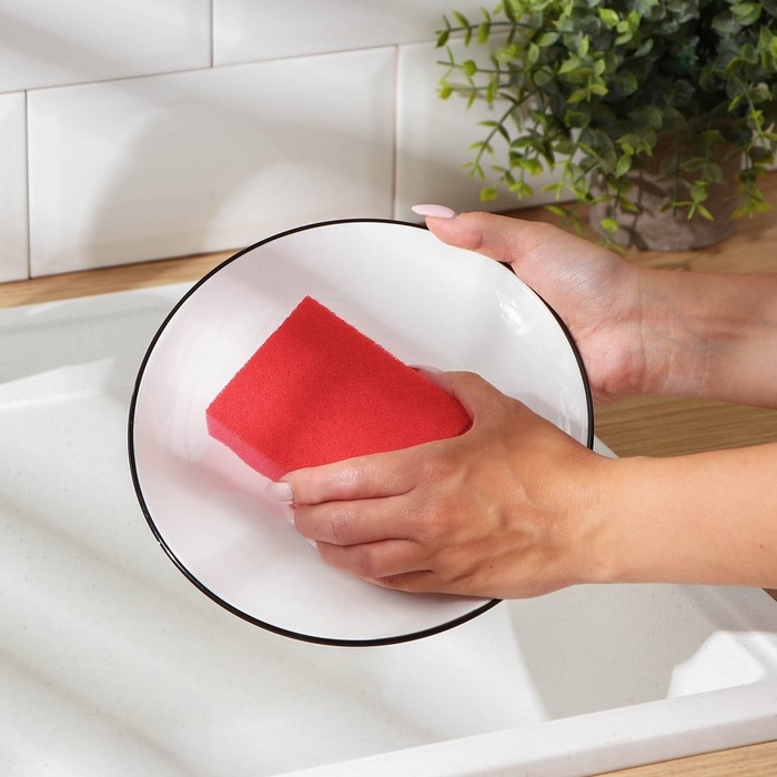 Набор губок для мытья посуды Raccoon &laquo;Кантри&raquo;, 3 шт, 9,5&times;7&times;3,5 см, цвет красный, жёлтый