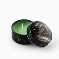 Свеча новогодняя в железной банке &laquo;Новый год: Новогодняя&laquo;Новый год: аромат еловые ветки, 4.8 см