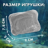 Набор для раскопок «Сокровища океана» Набор для раскопок «Сокровища океана»