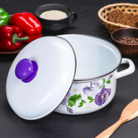 Кастрюля эмалированная &laquo;Анютины глазки&raquo;, 3 л, индукция