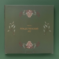 Тарелка новогодняя Доляна «Рождественский вечер», d=25,5 см, фарфор, цвет белый Тарелка новогодняя Доляна «Рождественский вечер», d=25,5 см, фарфор, цвет белый