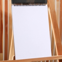 Скетчбук А4, 32 листа, 190 г/м2 &laquo;Девушка с сережкой&raquo;