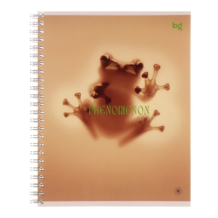 Тетрадь 60 листов в клетку на гребене Phenomenon, обложка мелованный картон, МИКС Тетрадь 60 листов в клетку на гребене Phenomenon, обложка мелованный картон, МИКС