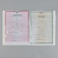 Папка для семейных документов "Звёздное небо", 4 комплекта документов, 19 карманов Папка для семейных документов "Звёздное небо", 4 комплекта документов, 19 карманов