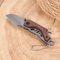 Нож перочинный складной "Странник" 14см, клинок 52мм/2мм, рукоять дерево Нож перочинный складной "Странник" 14см, клинок 52мм/2мм, рукоять дерево