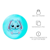 Мяч детский ZABIAKA &laquo;Зайчонок&raquo;, d=22 см, цвет МИКС