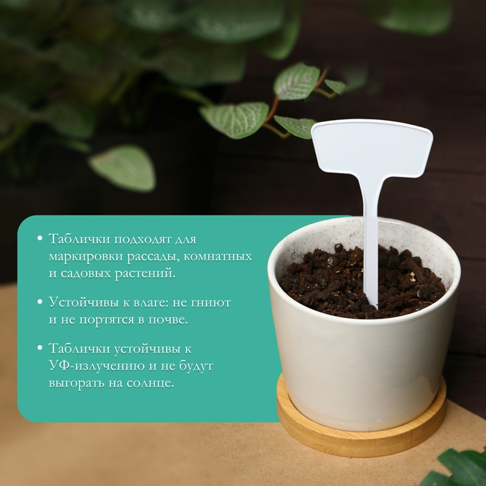 Таблички садовые для маркировки, 20 см, набор 10 шт., пластик, белые, Greengo