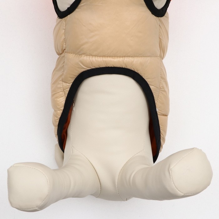 Куртка для собак на молнии, размер 14 (ДС 32 см, ОГ 42 см, ОШ 31 см), бежевая с оранжевым Куртка для собак на молнии, размер 14 (ДС 32 см, ОГ 42 см, ОШ 31 см), бежевая с оранжевым