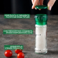 Мельница для специй, пластиковый механизм, 115 мл (45-80 гр), цвет зелёный Мельница для специй, пластиковый механизм, 115 мл (45-80 гр), цвет зелёный