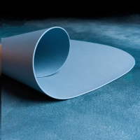 Салфетка сервировочная на стол Доляна &laquo;Тэм&raquo;, 44&times;35,5 см, цвет голубой