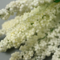 Декор для творчества "Иван чай" 1 букет=10 цветков кремовый 1,5х14 см Декор для творчества "Иван чай" 1 букет=10 цветков кремовый 1,5х14 см