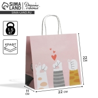 Пакет подарочный, упаковка, &laquo;Киса&raquo;, 22 х 22 х 11 см