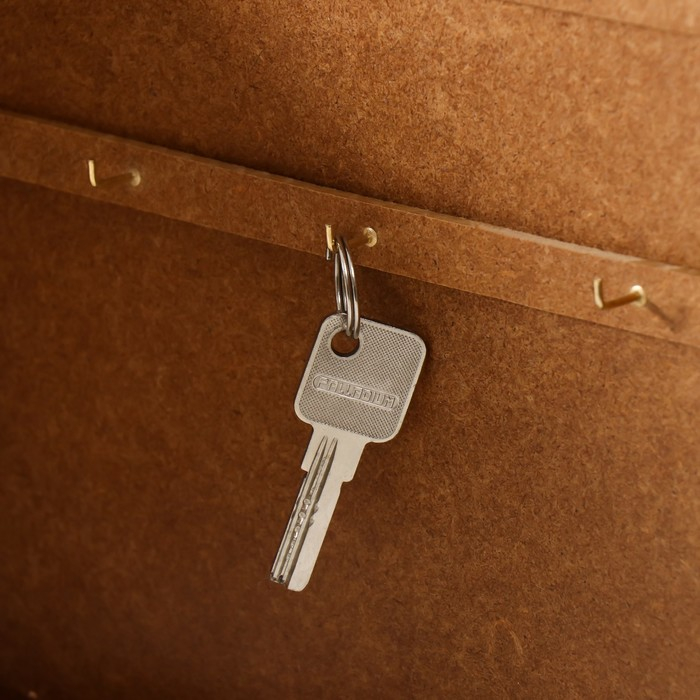 Ключница "Исаакиевский собор" 26х31 см венге