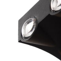 Светильник "Бисо" 6хLED 6Вт 4000К IP66 черный 14х4,5х8 см