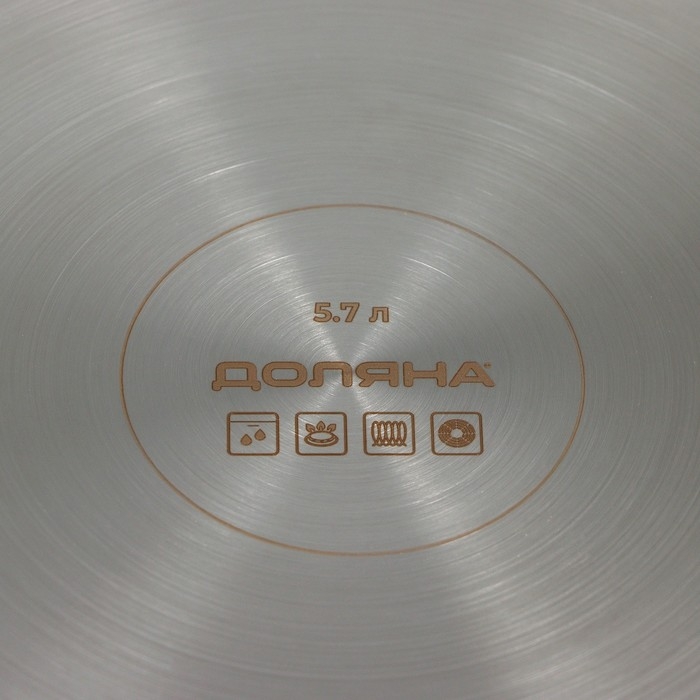 Кастрюля из нержавеющей стали &laquo;Грейт&raquo;, 5,7 л, капсульное дно, индукция