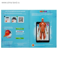 Энциклопедия 4D в дополненной реальности &laquo;Анатомия: органы человека&raquo;