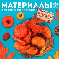 Набор для творчества &laquo;Осенние поделки&raquo;, в сетке