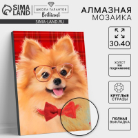 Алмазная мозаика с полным заполнением на подрамнике &laquo;Собачка&raquo;, 30 х 40 см