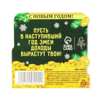 Монета новогодняя амулет &laquo;Новый год: Привлекаю деньги&raquo;, диам 2.5 см