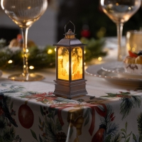 Светодиодная фигура &laquo;Серебристый фонарь с совой&raquo; 5 &times; 12 &times; 5 см, пластик, батарейки AG13х3 (в комплекте), свечение тёплое белое