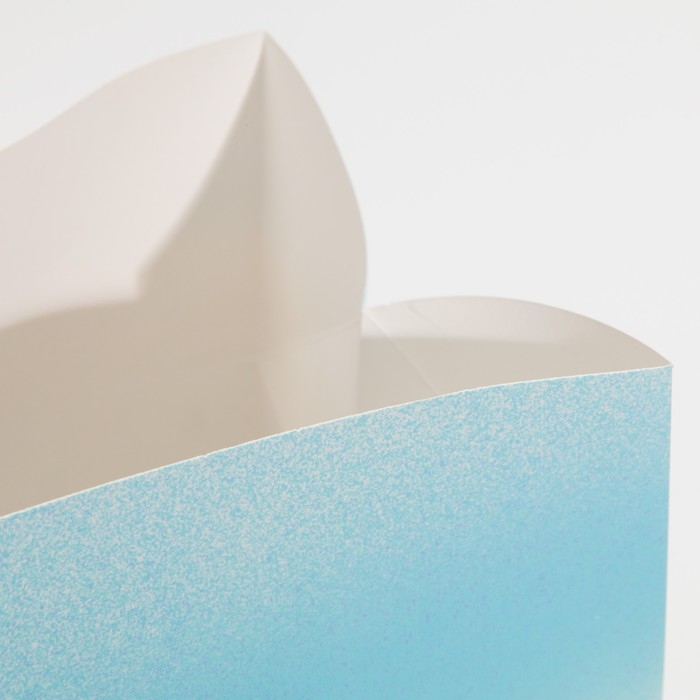 Пакет-коробка &laquo;Новый год вместе&raquo;, 28 х 20 х 13 см, Новый год