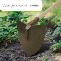 Мотыга остроносая М-03, тулейка 30 мм, без черенка