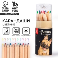 Цветные карандаши мини в тубусе, 12 шт «Песик» Цветные карандаши мини в тубусе, 12 шт «Песик»