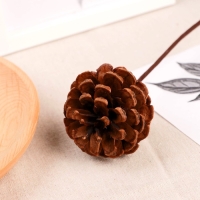 Декор сухоцвет "Сосновая шишка" d-5,5 см 40 см, коричневый Декор сухоцвет "Сосновая шишка" d-5,5 см 40 см, коричневый