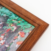 Фоторамка 21х30 (7N92) орех (пластиковый экран)