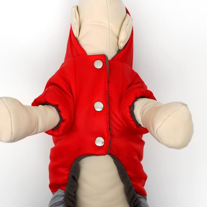 Комбинезон зимний для животных "Дуэт", L (ДС 28-30, ОГ 40-44 см, ОШ 32 см), красно-серый