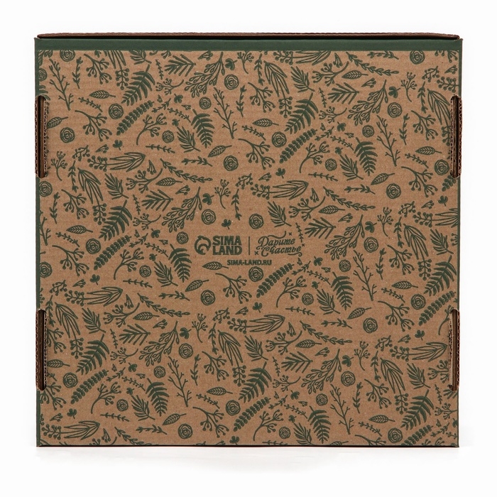 Коробка складная &laquo;Ботаника&raquo;, 24 х 24 х 12 см