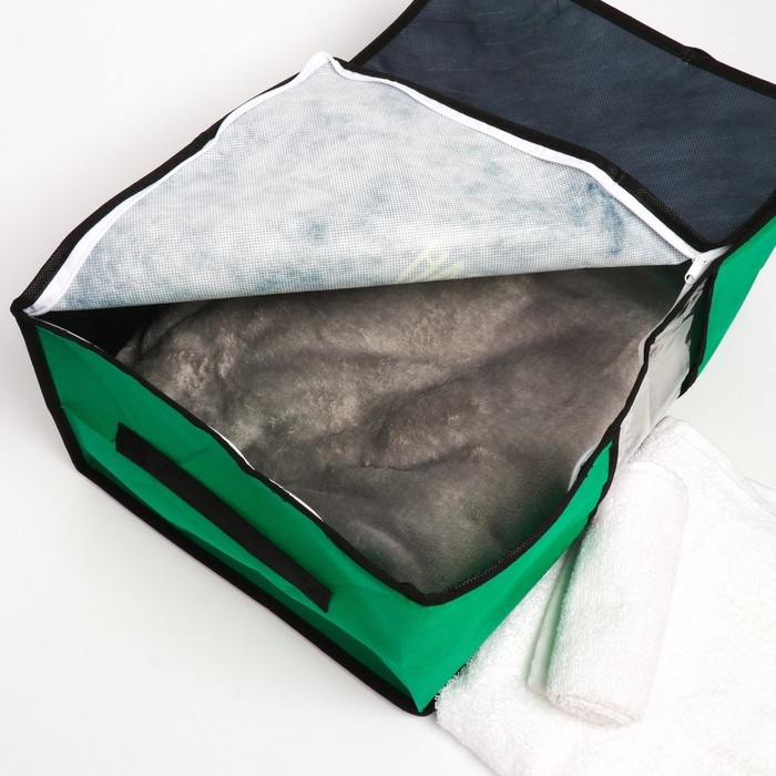 Органайзер для хранения белья, кофр с pvc-окном &laquo;Avocado&raquo;, 43 х 28,5 х 20 см.