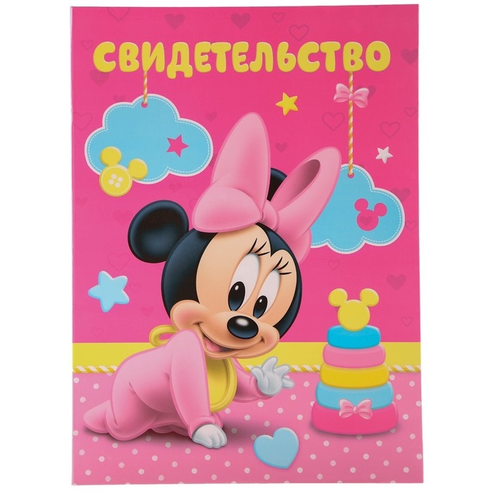 Обложка для документов набор Обложка для документов набор "Мои первые документы", Минни Маус, 21х30 см