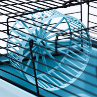 Клетка-мини для грызунов "Пижон" №1, укомплектованная, 27 х 15 х 13 см, бирюзовая Клетка-мини для грызунов "Пижон" №1, укомплектованная, 27 х 15 х 13 см, бирюзовая