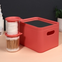 Набор органайзеров для хранения косметических принадлежностей &laquo;Eva&raquo;, 22,8 &times; 15,9 &times; 13,8 см, с зеркалом, цвет розовый