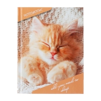 Блокнот А6, 80 листов в клетку "Соня", твёрдая обложка, глянцевая ламинация, блок офсет Блокнот А6, 80 листов в клетку "Соня", твёрдая обложка, глянцевая ламинация, блок офсет