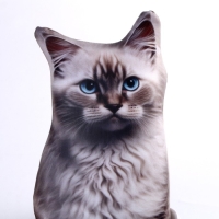 Антистресс игрушка, кот «Невская» Антистресс игрушка, кот «Невская»