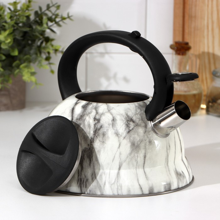 Чайник со свистком из нержавеющей стали Доляна &laquo;Каррар&raquo;, 2,8 л