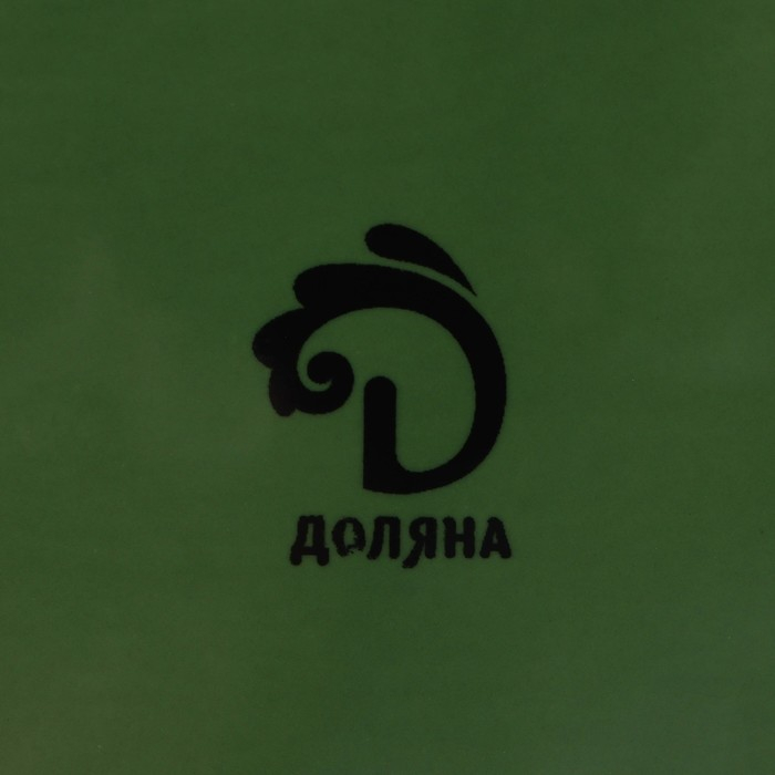 Блюдо сервировочное с ручками Доляна &laquo;Лист&raquo;, 29&times;3,3 см, цвет зелёный